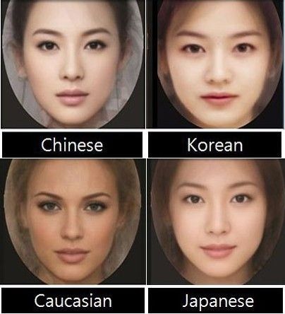 SNIPPITS AND SNAPPITS: WORLD IQ FIGURES: WITH BRIEF NOTES ON ... Attractive Face, Ashkenazi Jews, Asian Face, Japanese Eyes, Facial Anatomy, Face Anatomy, 얼굴 그리기, Face Drawing Reference, Physical Features