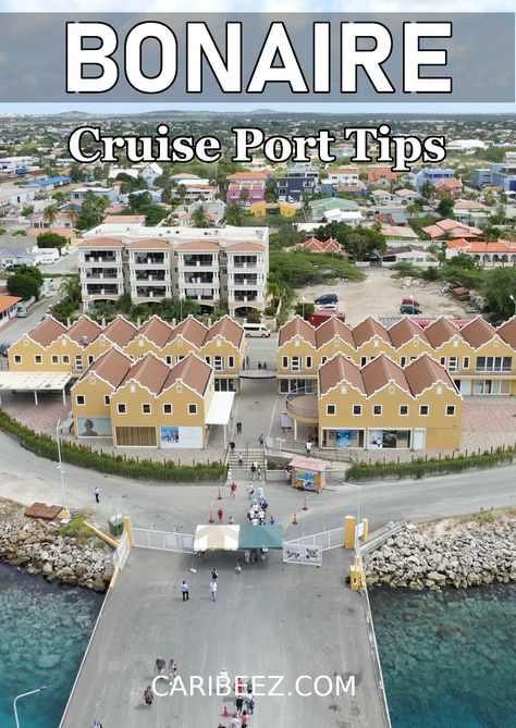 Bonaire cruise port Things To Do In Bonaire On A Cruise, Bonaire Cruise Port, Bonaire Things To Do, 2024 Reflection, Aruba Cruise Port, Bonaire Island, Aruba Cruise, Abc Islands, Jamaica Cruise