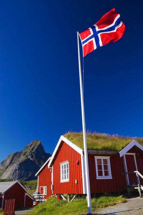 Norway Culture, Norwegian Cabin, Norway House, Norway Nature, Norway Flag, Norwegian Flag, Beautiful Norway, North Europe, Scandinavian Aesthetic