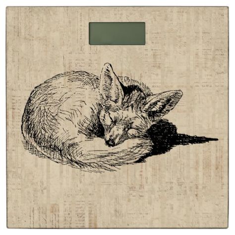 Fox Stencil, Animal Sketchbook, Animal Bathroom, Fox Tattoo Design, Fox Wall Art, Sleeping Animals, Simple Drawings, Wildlife Artwork, Illustrated Art