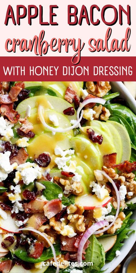 This Apple Bacon Cranberry Salad with Honey Dijon Dressing is the ultimate Fall salad. It starts off with one of my favourite salad dressings, which has the perfect ratio of honey, dijon mustard, apple cider vinegar, and olive oil. This salad is all of your side salad dreams come true. Honey Dijon Apple Bacon Cranberry Salad, Dried Cranberry Salad Recipes, Maple Dijon Apple Crunch Salad, Apple Lettuce Salad, Apple Bacon Salad, Cranberry Walnut Salad, Honey Dijon Dressing, Dijon Dressing, Fall Salad