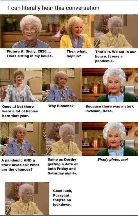 Golden Girls Humor, Golden Girls Quotes, Favorite Show, The Golden Girls, Conference Tables, Girl Memes, Keto Lifestyle, Betty White, My Bestie