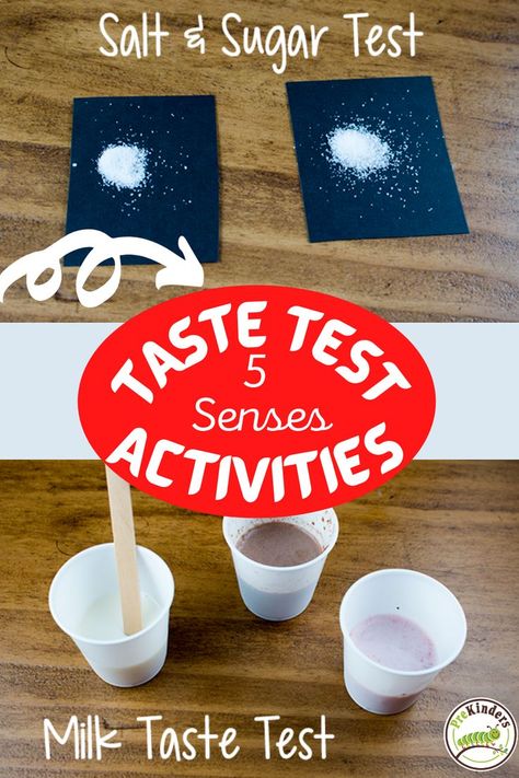 5 Senses: Taste Test Activities 5 Senses Taste Test, Smell Activities, Taste Sense, 5 Senses Activities, Senses Preschool, Sense Of Taste, Preschool Crafts Fall, Senses Activities, Toddler Homeschool