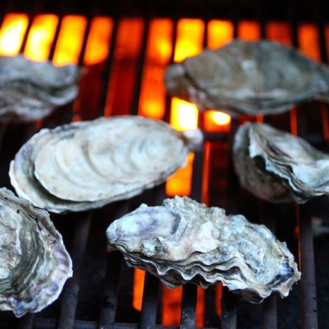 Bbq Oysters, Cooked Oysters, Oyster Roast, Grilled Oysters, Oyster Recipes, Grilling Season, Supper Club, Cooking On The Grill, On The Grill