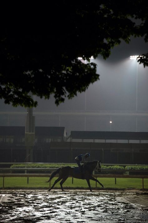 Churchill Downs Horsey Life, Equestrian Aesthetic, Heavenly Places, Horse Wallpaper, Horse Aesthetic, Churchill Downs, Majestic Horse, Sport Horse, Cute Horses