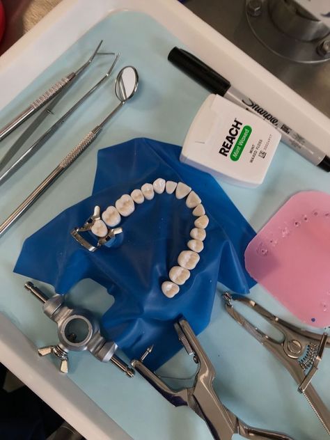 Dentist Career, Foto Doctor, Teeth Aesthetic, Dental Hygiene Student, Dental Impressions, Dental Decay, Dental Aesthetics, Tooth Brushing, Dental Photography