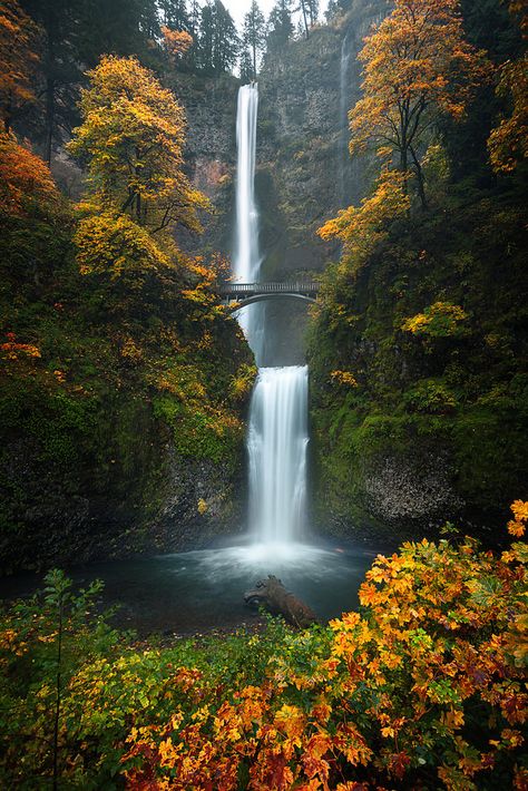 Multnomah Falls Oregon, Oregon Nature, Magic Places, Fall Landscape Photography, Multnomah Falls, Waterfall Photography, Landscape Photography Nature, Columbia River, Beautiful Waterfalls