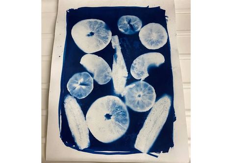 Cyanotype Ideas, Cyanotype Art, Sun Printing, Cyanotype Process, Sun Prints, Leaf Stencil, Craft Techniques, Experimental Photography, Print Ideas