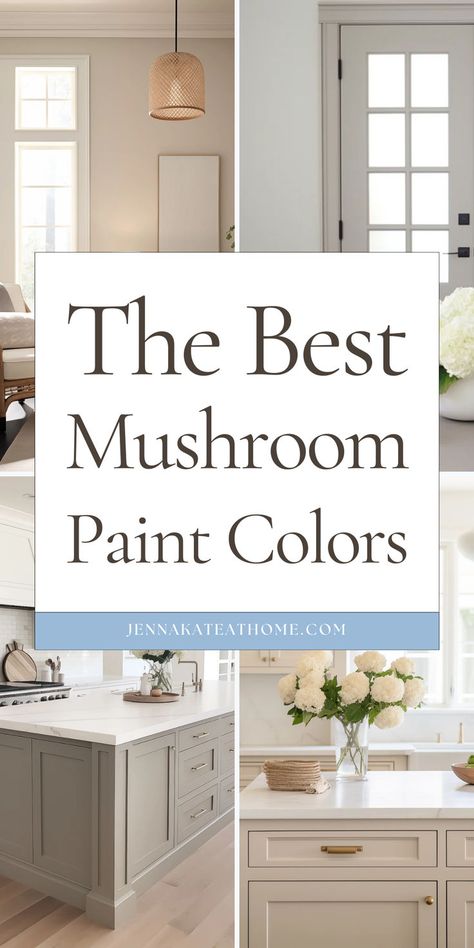 Explore the top mushroom paint colors from Sherwin Williams and Benjamin Moore for a cozy, natural vibe. These are perfect for cabinets, bathroom, living room, or bedroom. Discover the best mushroom paint colors to create warm mushroom walls in any space. Sherwin Williams Mushroom Colors, Mushroom Color Paint, Best Mushroom Paint Colors, Bathroom Cabinet Colors, Warm Paint Colors, Mushroom Paint, Trending Paint Colors, Cabinets Bathroom, Popular Paint Colors