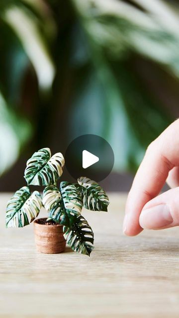 Polymer Clay Plants Tutorial, Mini Planters Diy, Lemon Miniatures, Polymer Clay Miniatures Tutorials, Miniature Plants Diy, Mini Plants Diy, Clay Plants, Mini Verse, Plant Shopping