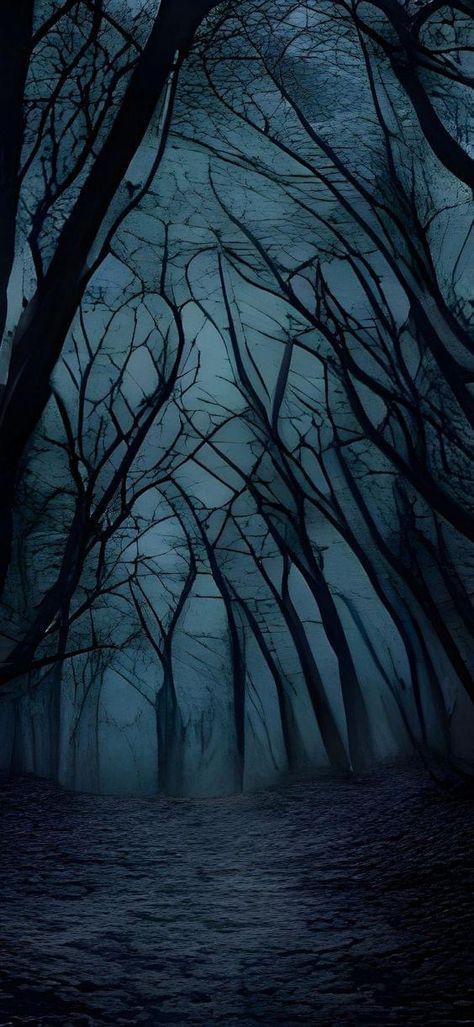 Storage Wars, Dark Forest Aesthetic, Scenic Wallpaper, Slowed Reverb, Gothic Wallpaper, Cocoppa Wallpaper, Dark Nature Aesthetic, Night Forest, Dark Phone Wallpapers