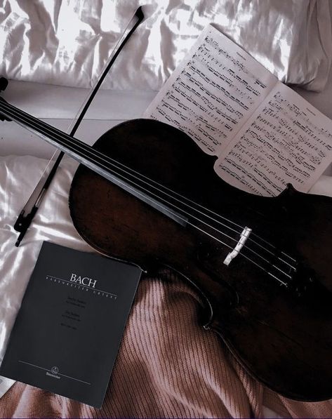 Black Violin, Dark Acadamia, The Infernal Devices, Fete Anime, Dark Academia Aesthetic, Music Aesthetic, Academia Aesthetic, Violinist, Brown Aesthetic