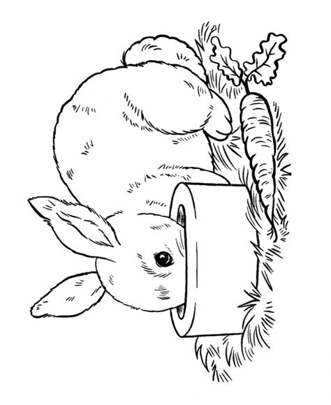 Easter Bunny Coloring page | Pet Bunny Lukisan Haiwan, Create Cartoon Character, Easter Coloring Sheets, Spider Coloring Page, Bunny Coloring, Easter Bunny Colouring, Coloring Pages Winter, Bee Coloring Pages, Rabbit Colors