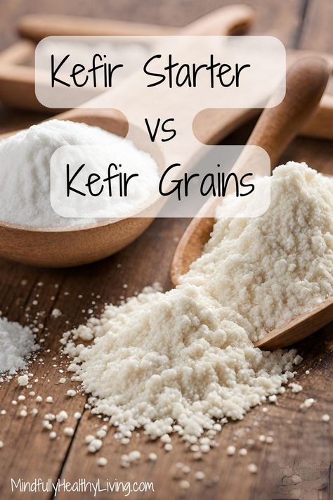 A Pinterest-optimized image of A wooden bowl of freeze-dried kefir starter powder next to a bowl of kefir starter grains and text overlay that says kefir starter vs kefir grains mindfullyhealthyliving.com Kefir Sourdough Starter, Homemade Kefir Recipes, Kefir Grains How To Make, Homemade Kiefer, What To Do With Kefir, How To Make Kefir At Home, Vegan Kefir, Making Kefir, Homemade Kefir