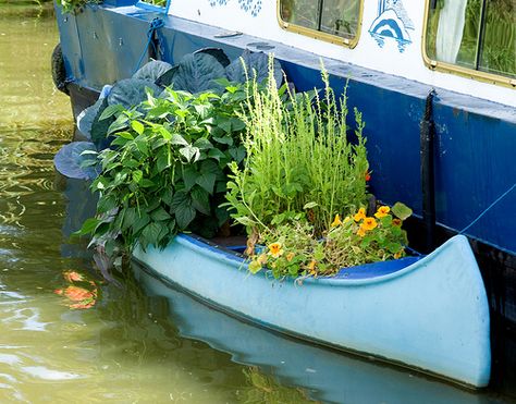 What a lovely idea for a narrowboat. Though, getting down (literally) to the gardening might be a bit problematic. Canal Boat Interior, Narrowboat Interiors, Gifts For Boaters, Boat House Interior, Houseboat Living, Dutch Barge, Living On A Boat, Building A Container Home, Boat Interior