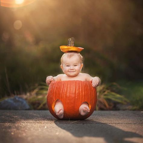 Baby Halloween Photoshoot, Holiday Baby Pictures, Halloween Baby Pictures, Halloween Baby Photos, Fall Baby Photos, Baby Holiday Photos, Fall Baby Pictures, Photo Halloween, Baby Milestones Pictures