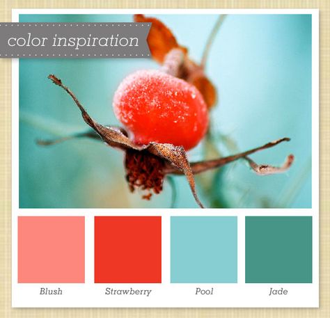 An unexpected source of inspiration for a pretty aqua and coral combination Apartment Color Schemes, Trendy Kitchen Colors, Red Color Schemes, Palette Design, Kitchen Colour Schemes, Kunst Inspiration, Green Colour Palette, Red Blue Green, Kitchen Colors