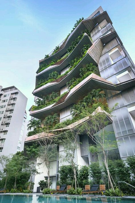 Green Building Architecture, Singapore Architecture, Architecture Antique, Green Facade, Eco Architecture, Plants Growing, Green Architecture, Facade Architecture, Sustainable Architecture