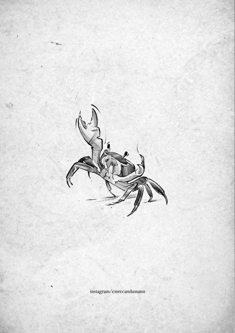 Creepy Seahorse Tattoo, Realistic Crab Tattoo, Fun Animal Tattoo, Deep Sea Creatures Tattoo, Ghost Crab Tattoo, Sea Animals Tattoo Ideas, Ocean Animals Tattoo, Cute Crab Tattoo, Tattoo Sketches Ideas Creative