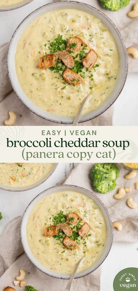 Soup Entree, Broccoli Cheddar Soup Panera, Vegan Broccoli Cheddar Soup, Soup Panera, Panera Copycat, Vegan Broccoli, Plant Based Soups, Broccoli Cheddar Soup, Vegan Soup Recipes