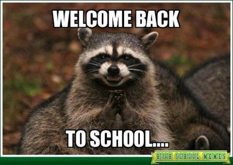 Teacher_Meme_Welcome_Back Welcome Back Meme, Crescent Wrench, Nebraska Football, Teacher Memes, Welcome Back To School, Trash Panda, Avon Representative, School Memes, Holiday Books