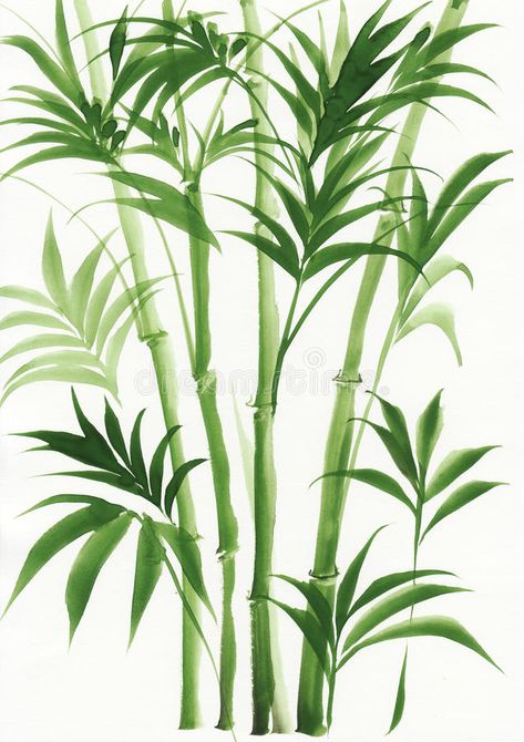 Bamboo Sketch, Bamboo Art Painting, Bamboo Art, Spring Pictures, Watercolor Plants, Art Tropical, Plant Painting, Bamboo Plants, Lukisan Cat Air