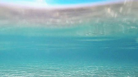 Soothing Gifs, Moving Pictures, Aesthetic Gif, Tropical Vibes, Images Gif, Pop Tarts, Beach Life, Under The Sea, Happy Places