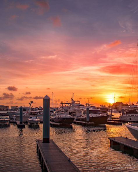 In Key West, the sunset is the star attraction that never fails to leave its audience in awe.

No matter where you planted, the sunset show is simply spectacular.  Whether your gathered in Mallory Square with crowds of people and festivities that can only be experienced in Key West, or you've found a quiet look nook where you're sitting back with something cold...finding your sunset should be on the top of your list....

Where do you enjoy your sunsets?
.
.
.
PS - if you love seafood, be sure to check out the Key West seafood article on the travel blog!
.
#keywestflorida #keywest #floridakeys #florida #travel #travelmore #floridatravel #islandvacay #vitabellamagazine #dawndamico #travelwriter #findthejoy Crowds Of People, Key West Sunset, Travel Key West, Key West Florida, Poster Ideas, Father Figure, Florida Travel, Travel Writer, Florida Keys