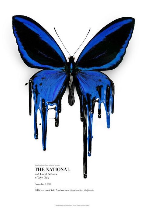 Gig Poster, Blue Butterfly, The National, Magazine, Paint, Blue, Black