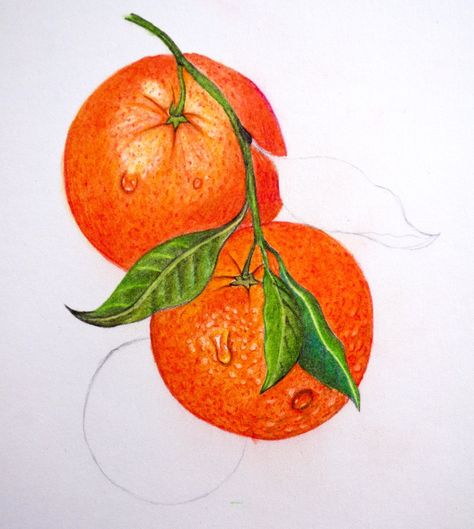 Fruit Art Drawings, Steam Art, Color Pencil Sketch, Prismacolor Art, Fruits Drawing, Colored Pencil Artwork, Pencil Shading, Object Drawing, Colored Pencil Drawing