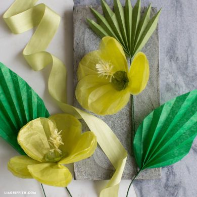 DIY Tutorials for Handmade Tissue Paper Flowers Reading Decor, Flowers Hibiscus, Flowers Backdrop, Tissue Paper Flowers Diy, Tissue Flowers, Tissue Pack, Backdrop Diy, Tissue Paper Pom Poms, Tropical Hibiscus