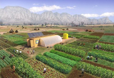 This solar powered farm is based out of an upcycled shipping container!  I love it!!! Micro Farm, Smart Farm, Farming Technology, Modern Agriculture, Farming System, Farm Layout, Market Garden, Aquaponics System, Farm Buildings