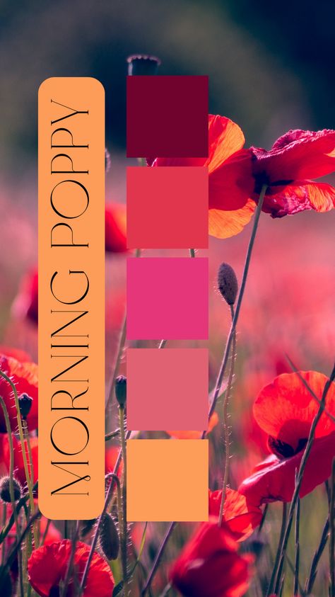 Morning Poppy Color Palette by Felicity & Lilac Events Fuschia Orange Color Palette, Tomato Red Color Combination, Cranberry Colour Palette, Ruby Color Palette, Viva Magenta Color Palette, Raspberry Color Palette, Cranberry Color Palette, Orange And Pink Color Palette, Color Palette Magenta