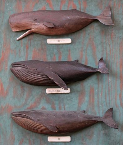 Tre Kunst, Wooden Whale, Sperm Whale, Wood Fish, Wood Carving Designs, Carving Designs, Wood Carving Art, Wooden Animals, Driftwood Art