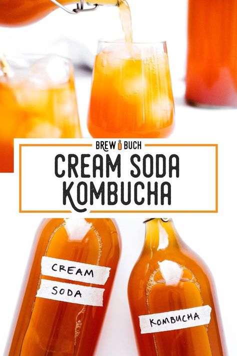 Dr Pepper Kombucha Recipe, Flavored Kombucha, Kombucha Making, Kombucha Flavors Recipes, Kombucha Recipes, Vanilla Dessert, Kombucha Flavors, Crunchy Mom, How To Brew Kombucha