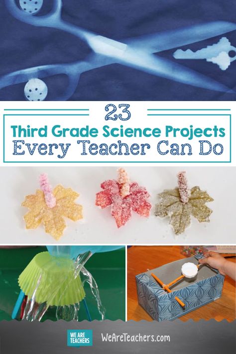 23 Third Grade Science Projects Every Teacher Can Do. Do you enjoy doing hands-on learning in your classroom? We know kids do. Check out this list of such fun, inexpensive science experiments you need to try this school year! #teaching #teach #activities Science Projects 3rd Grade, Science Activities For Third Grade, Science 3rd Grade Activities, Grade 3 Activities Fun, Science Project 3rd Grade Ideas, Science Fair 3rd Grade Project Ideas, Fun Homeschool Activities 3rd Grade, 3rd Grade Experiments, Easy 3rd Grade Science Experiments