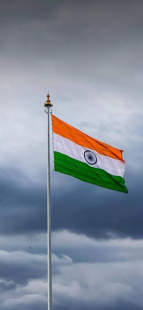 National Flag of India Independence Day Hd Wallpaper, Indian Flag Pic, India Wallpaper, Independence Day Hd, Republic Day Photos, Indian Flag Photos, Independence Day Wallpaper, Happy Independence Day Images, Independence Day Photos