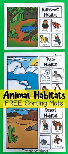 FREE printable sorting mats for preschoolers and kindergarten kids to learn about animals and their habitats. Great science and nature activity that kids will love! Includes rainforest, ocean, desert, polar, woodland and wetland habitats. Animal Habitats Preschool, Animals And Their Habitats, Habitat Activities, Nature Activity, Animal Habitat, Rainforest Habitat, Jungle Thema, Sorting Mats, Fun Educational Activities