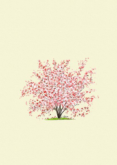 Magnolia Magnolia Tree Art, Magnolia Tree Drawing, Magnolia Tree Painting, Magnolia Tree Tattoo, Bobby Tattoo, Roots Illustration, Draw Tree, Infinite Tattoo, Farm Logos