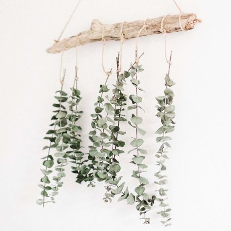 Driftwood Crafts Wall Hangings, Crafts Wall Hangings, Eucalyptus Wall Hanging, Eucalyptus Decor, Cheap Wall Decor, Dried Eucalyptus, Diy Wand, Simple Wall Decor, Bedroom Decor Inspiration