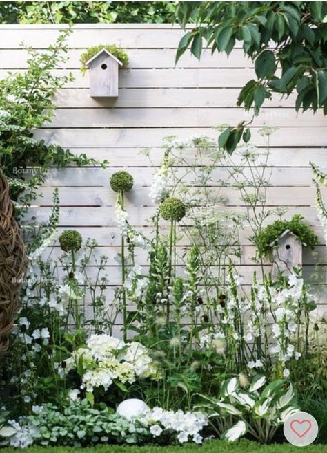 Funny Vine, Cottage Garden Design, Moon Garden, The Secret Garden, Creative Gardening, Backyard Garden Design, White Gardens, Garden Cottage, Back Garden