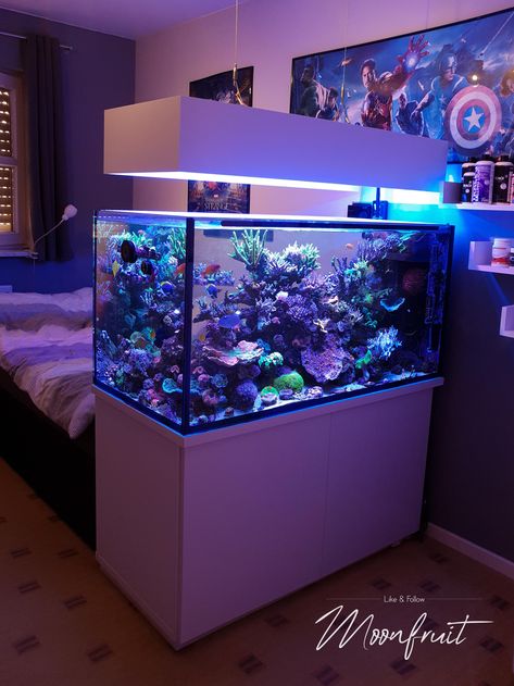 Small Aesthetic Fish Tank, Cool Home Aquariums, Fish Tanks In Bedrooms, Bedroom With Aquarium, Aquarium In Bedroom, Cool Aquariums, Aquarium Bedroom, Home Aquarium Ideas, Big Fish Tanks