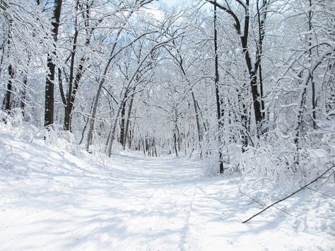 These 19 Wisconsin Natural Wonders May Be Even More Beautiful in Winter Wisconsin Winter, Apostle Islands, Winter Things, Wisconsin Travel, Wisconsin Dells, Awesome Places, Door County, Picnic Area, Vacation Ideas