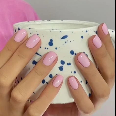 24 Reusable Press On Nails Reusable Color May Vary Due To Lighting Size One Size Condition New Reusable Comes With Mini Nail File And Glue Adhesive Strips Fake Press On Nails, Tropical Vacation Nails, Short Round Nails, Cute Short Nails, Solid Color Nails, Short Fake Nails, Light Pink Nails, Basic Nails, Vacation Nails