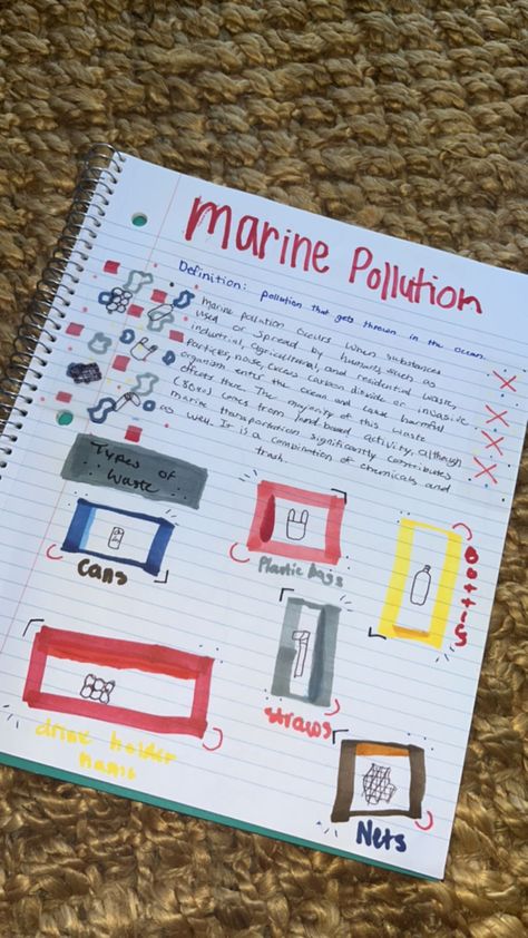 Marine Science Notes, Marine Biology Journal Pages, Marie Biology, Marine Biology Notebook, Marine Biology Journal, Marine Biologist Notes, Marine Biology Aesthetic Notes, Marine Biology Notes, Ocean Biology