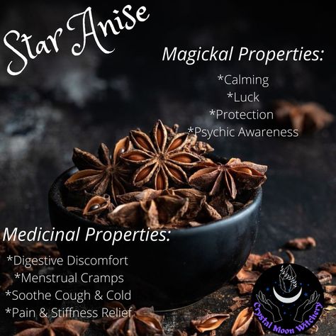 Money Spells Magic, Magickal Herbs, Magic Herbs, Kitchen Witchery, Magick Spells, Cold Cough, Herbal Magic, Star Anise, Witchy Vibes