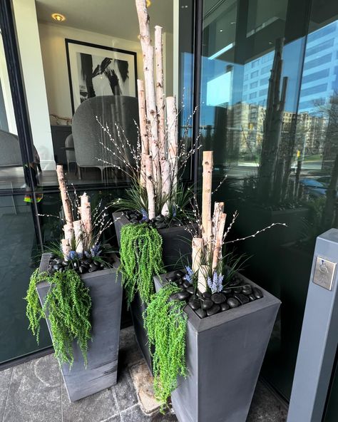 Beautiful Birch Branches 🪵 and Spring Style 🌱🪻 #spring #planters #birchbranches #springdecor #decorativeplanters #fauxdesign Birch Planter, Spring Planters, Birch Branches, Pot Ideas, Decorative Planters, Small Patio, Style Spring, Holiday Decorating, Porch Decor