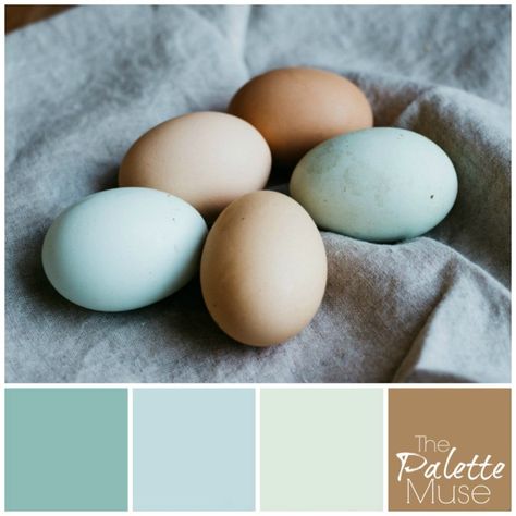 This natural palette brings out the blue, greens, and buff color of fresh eggs in the spring. Eggshell Blue Color Palette, Eggshell Blue Paint Color, Hallway Narrow, Paint Palettes, Colour Pallets, Pastel Home Decor, Colors Inspiration, Eggshell Blue, House Color Palettes