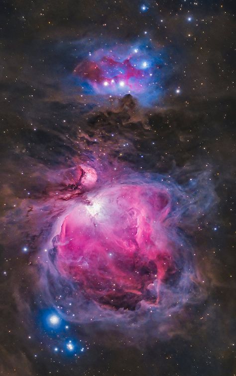 Amateur astrophotography image of the Orion Nebula through a telescope. Hubble Space Telescope Pictures, Space Pics, Nebula Wallpaper, Collage Material, Space Phone Wallpaper, Space Stuff, Nebulas, Orion Nebula, Space Artwork