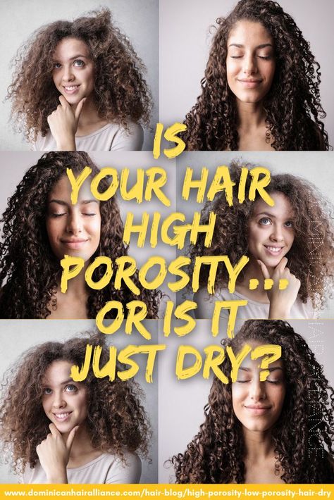 High porosity hair and really dry low porosity hair can act almost identical. Here's how to tell them apart and how to treat them. #highporosityhair #lowporosityhair #mediumporosityhair #hairquiz How To Treat High Porosity Hair, Low Porosity Vs High Porosity Hair, High Porosity Curly Hair Products, High Porosity Hair Regimen, 3c Hairstyles, Hair Porosity Test, Dominican Hair, Low Porosity Natural Hair, Low Porosity Hair